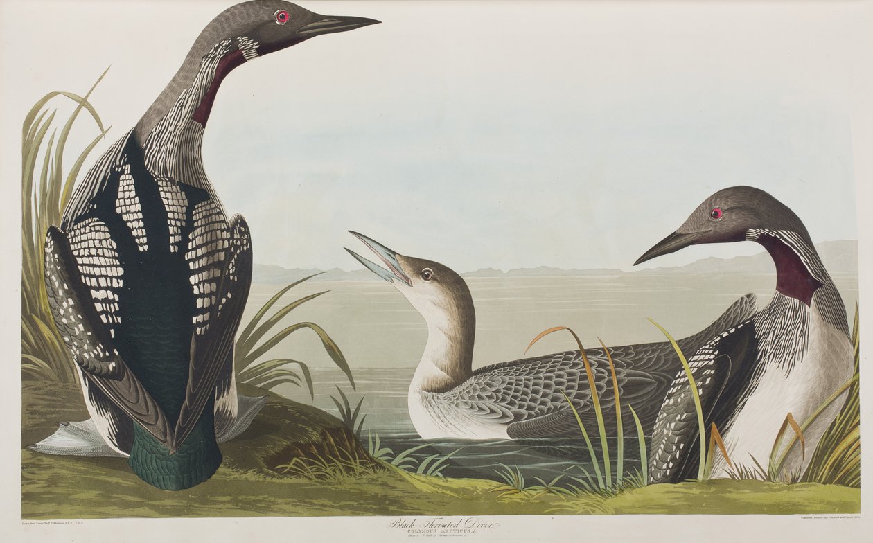 Illustration de 