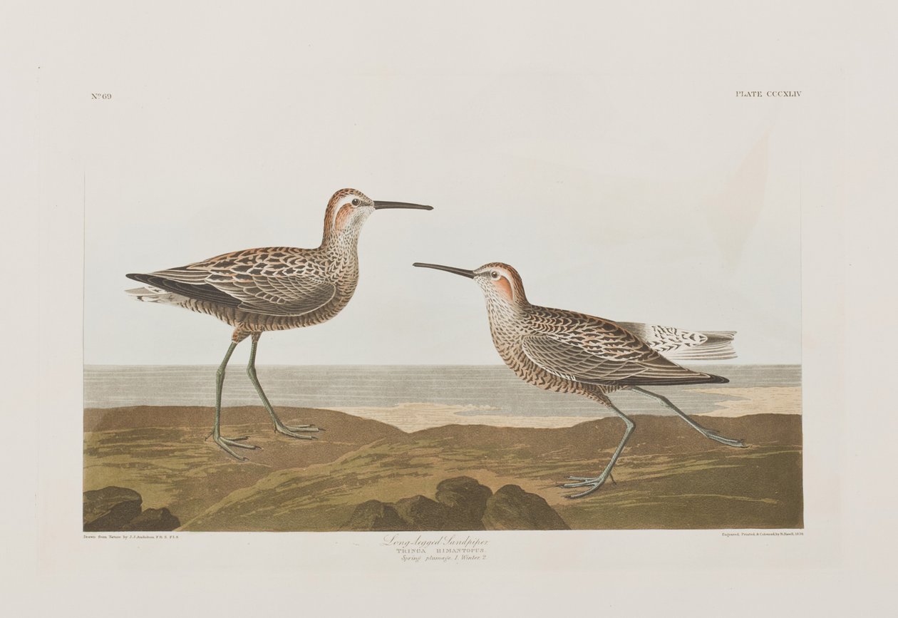 Illustration de 