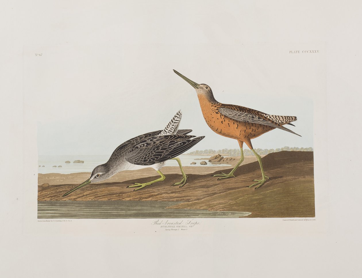 Illustration de 