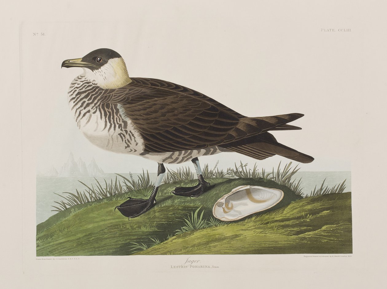 Illustration de 