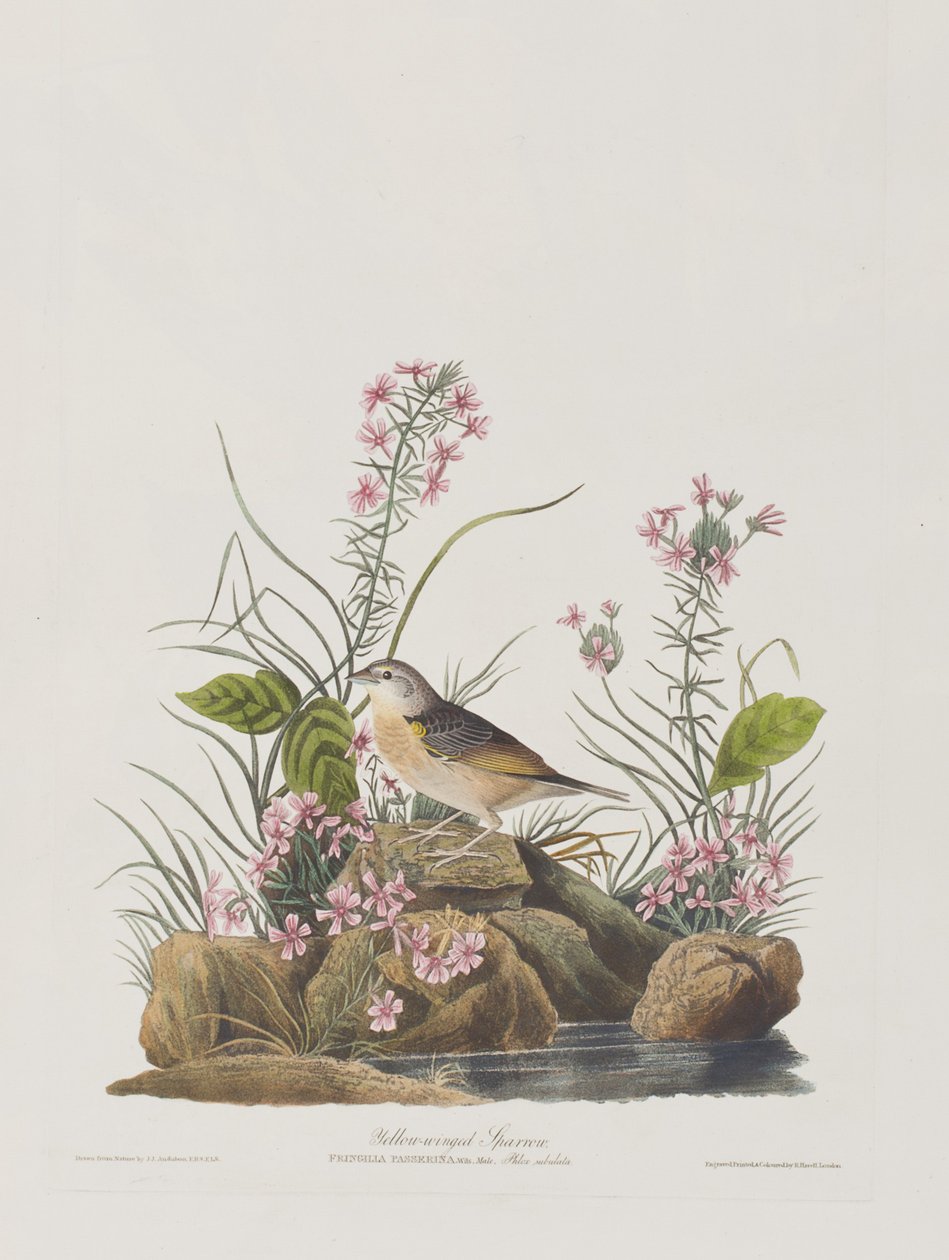 Illustration de 