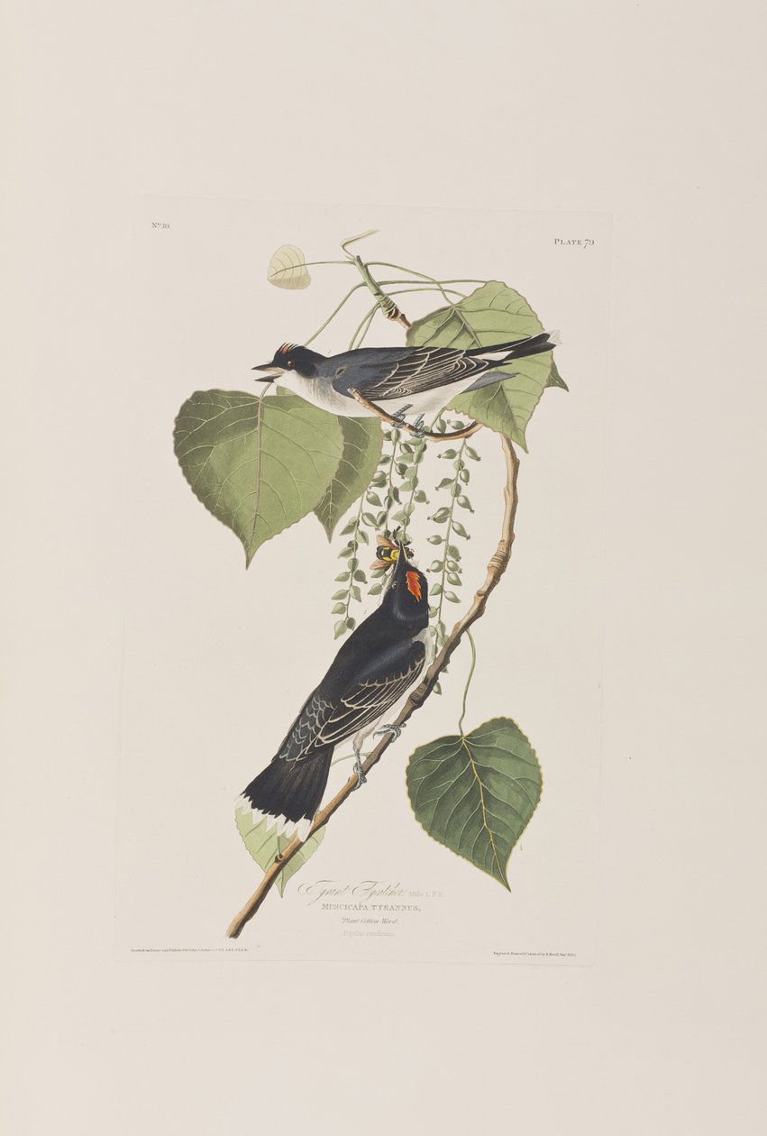 Illustration de 