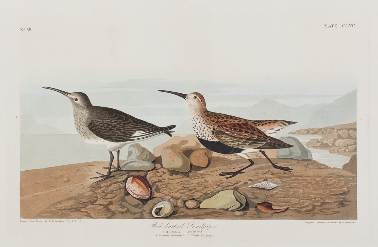 Illustration de 