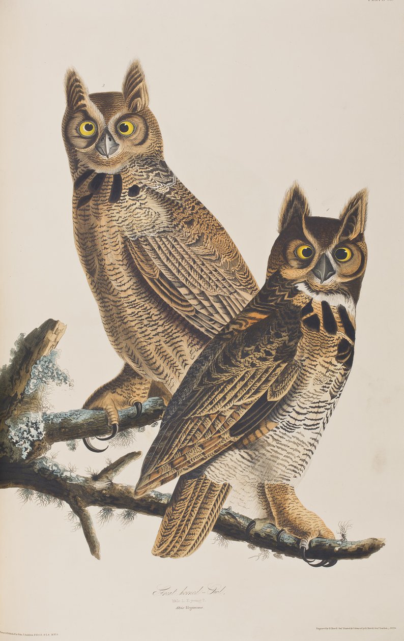 Illustration de 