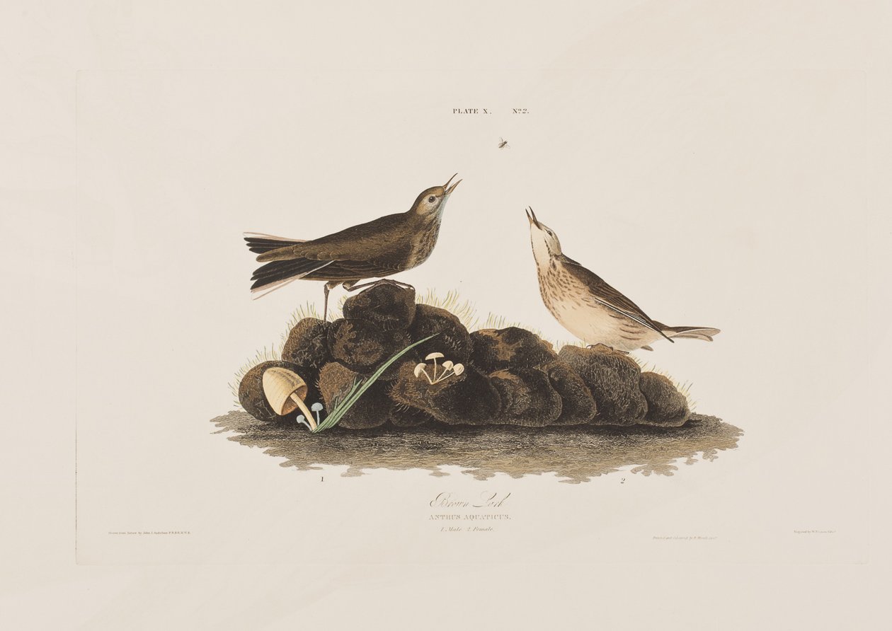 Illustration de 
