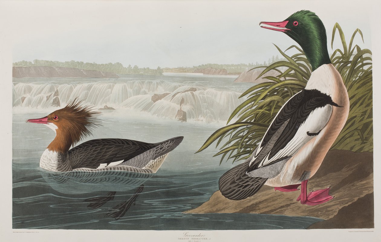 Illustration de 