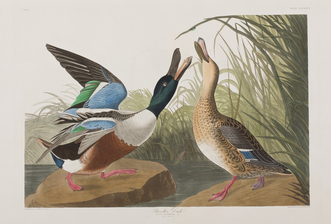 Illustration de 