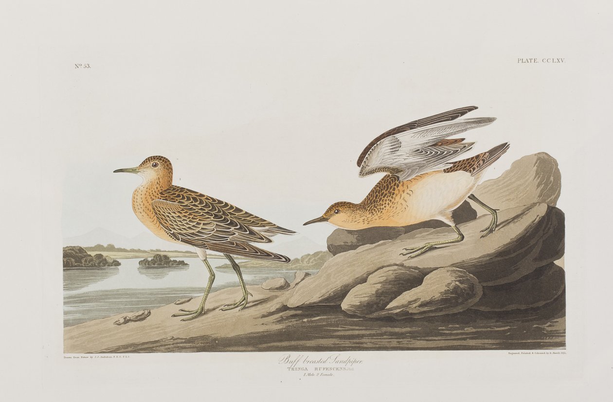 Illustration de 