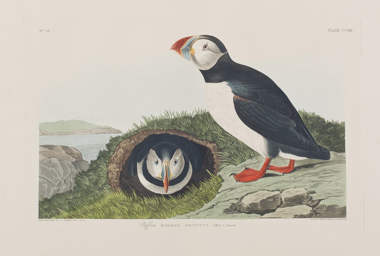 Illustration de 
