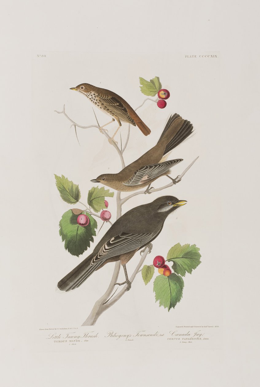 Illustration de 