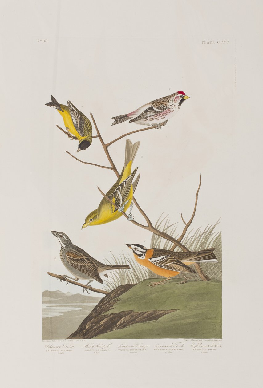 Illustration de 