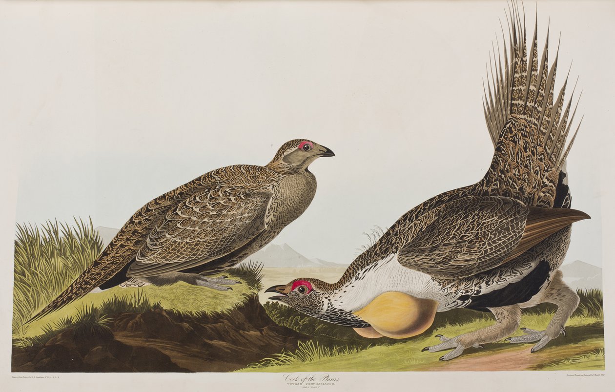 Illustration de 