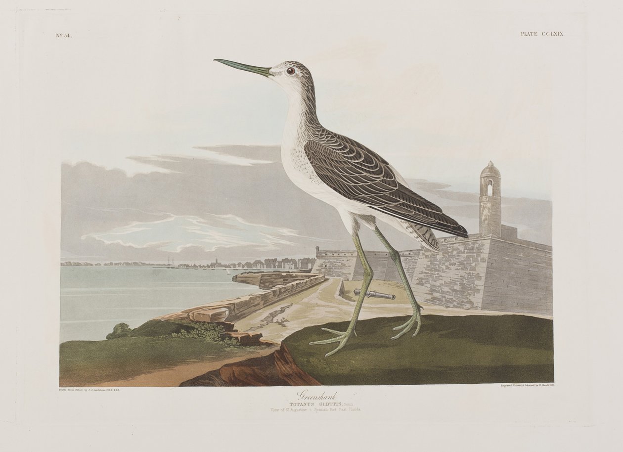 Illustration de 