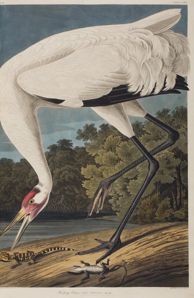 Illustration de 
