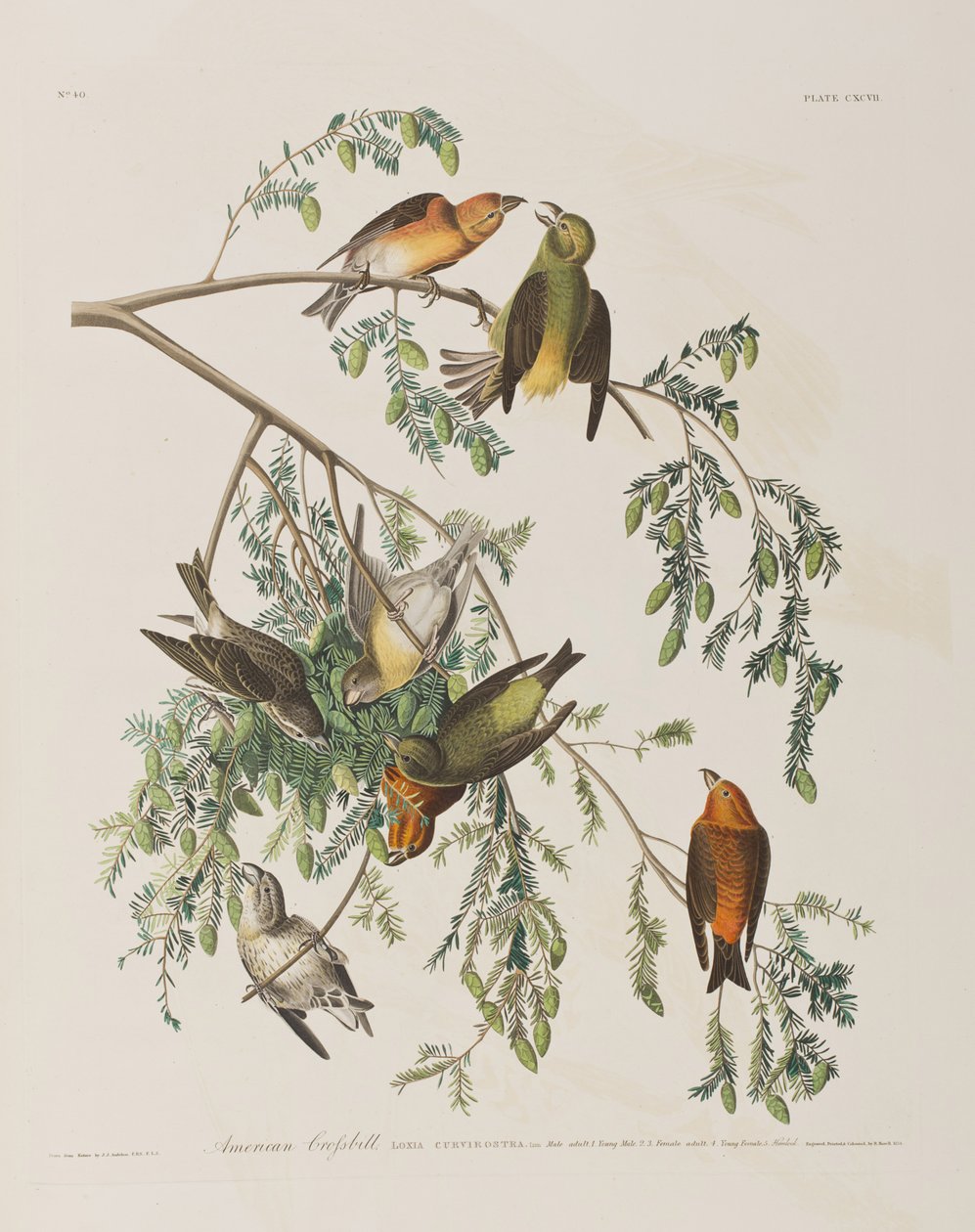 Illustration de 