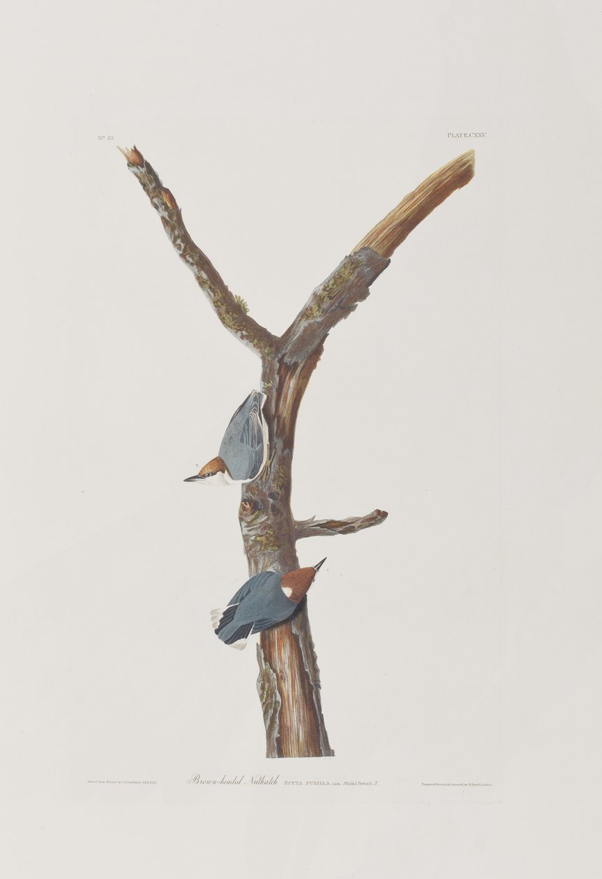 Illustration de 