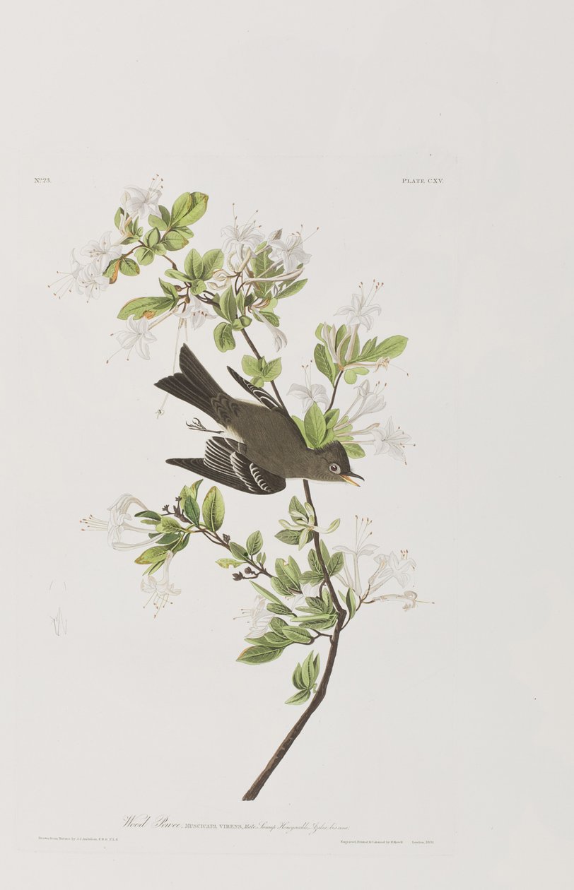 Illustration de 