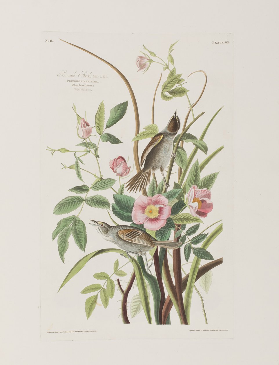 Illustration de 