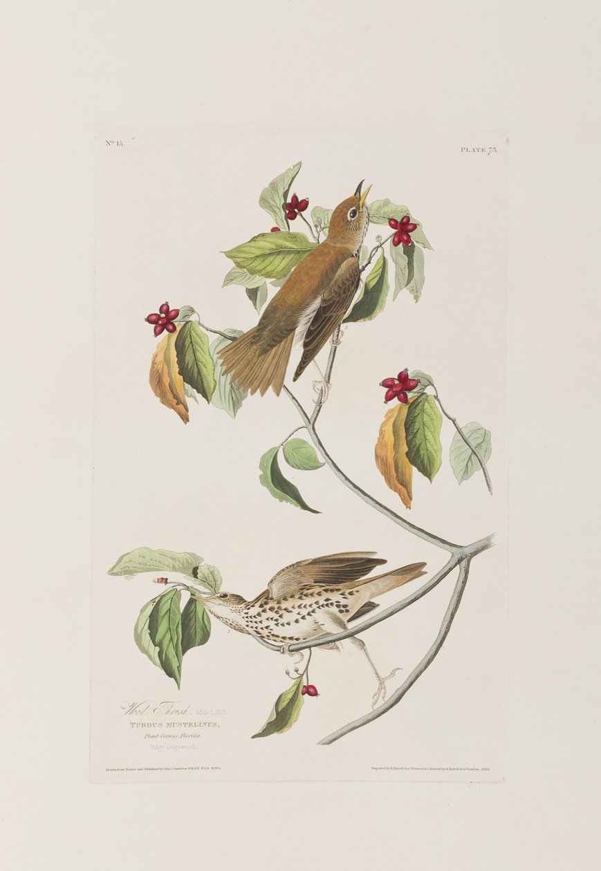 Illustration de 