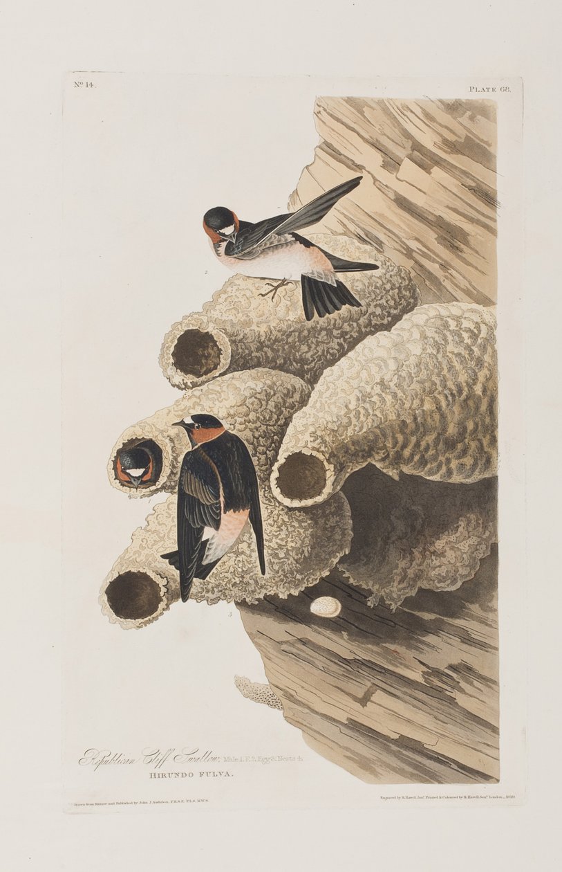 Illustration de 