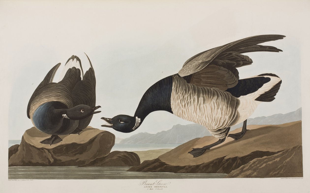Illustration de 