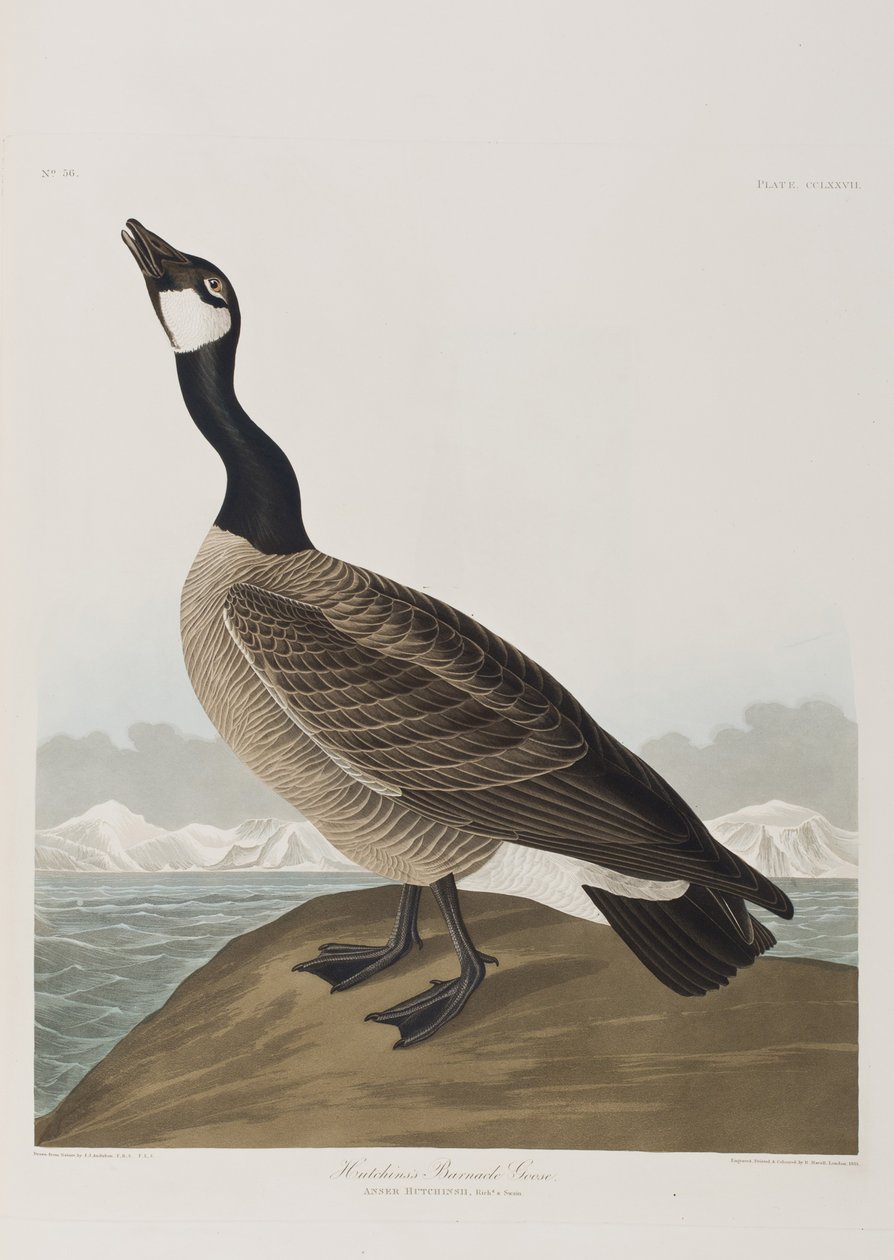 Illustration de 