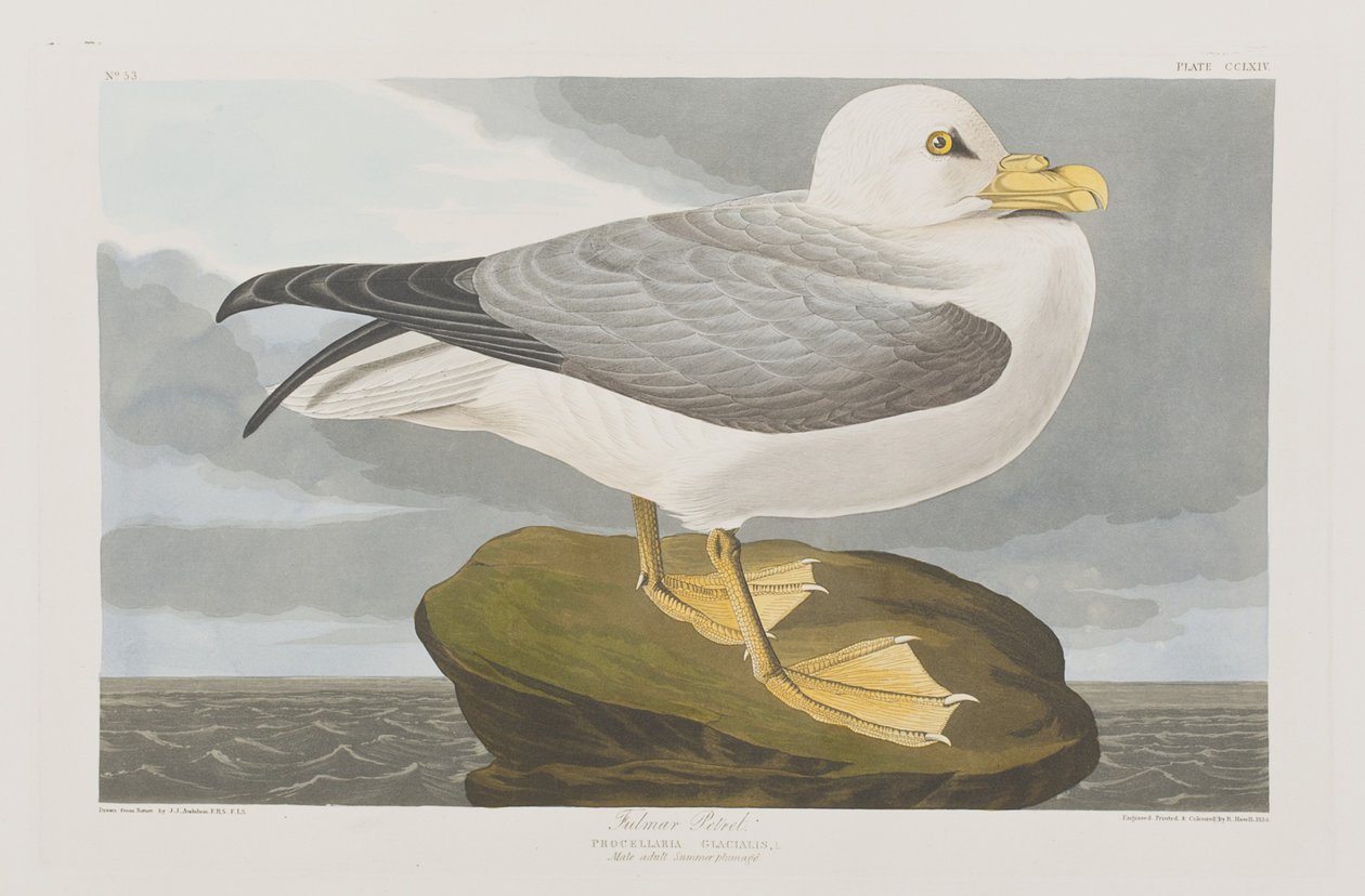 Illustration de 