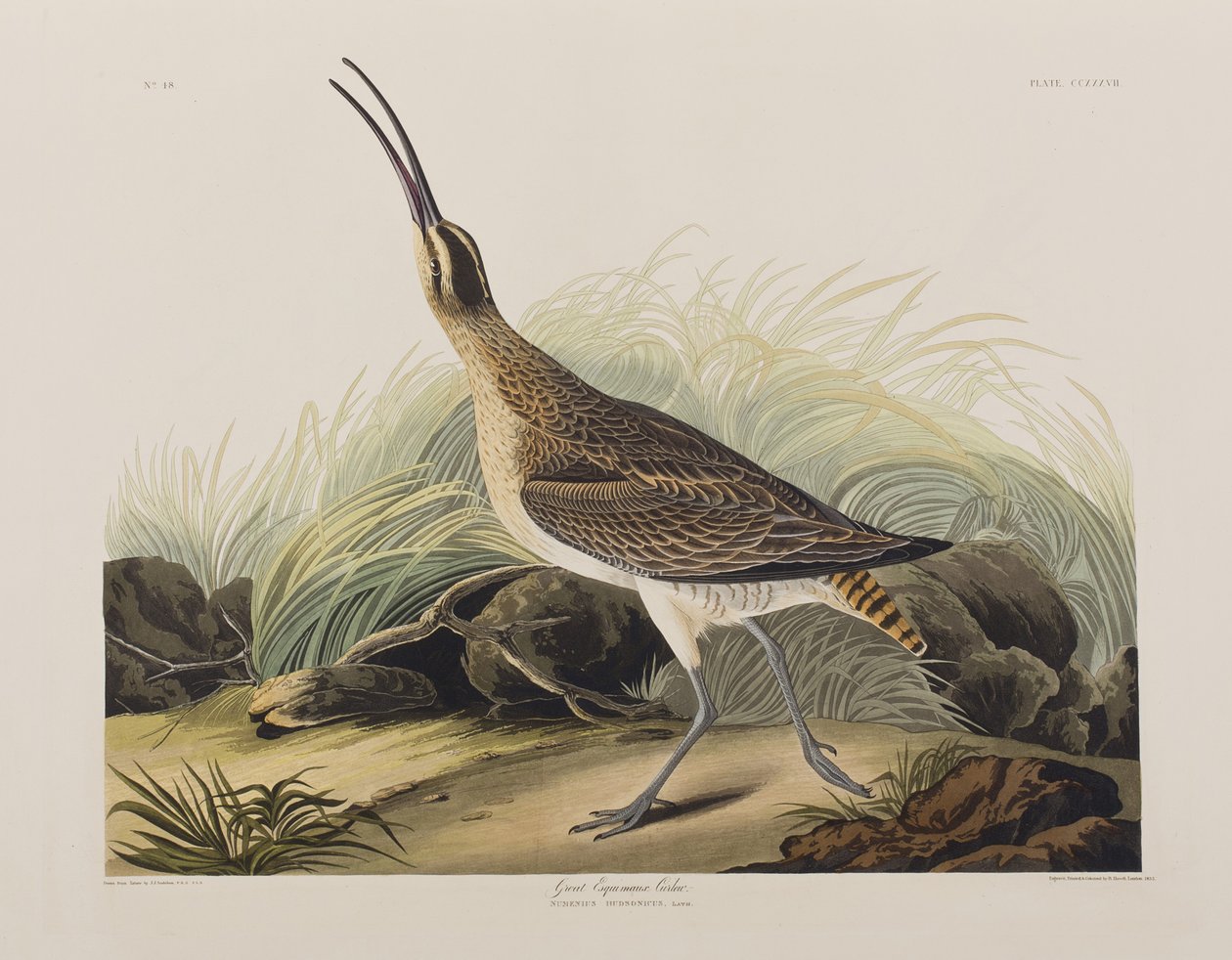 Illustration de 