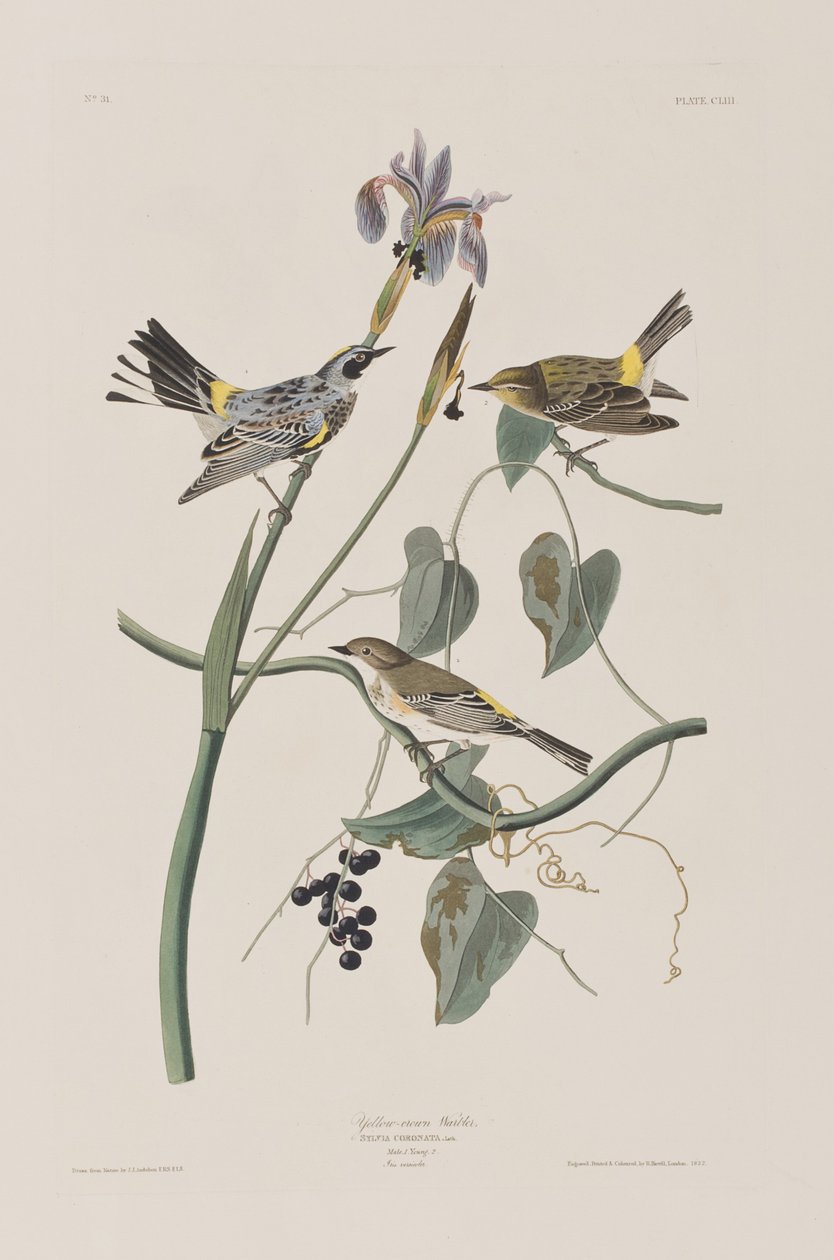 Illustration de 