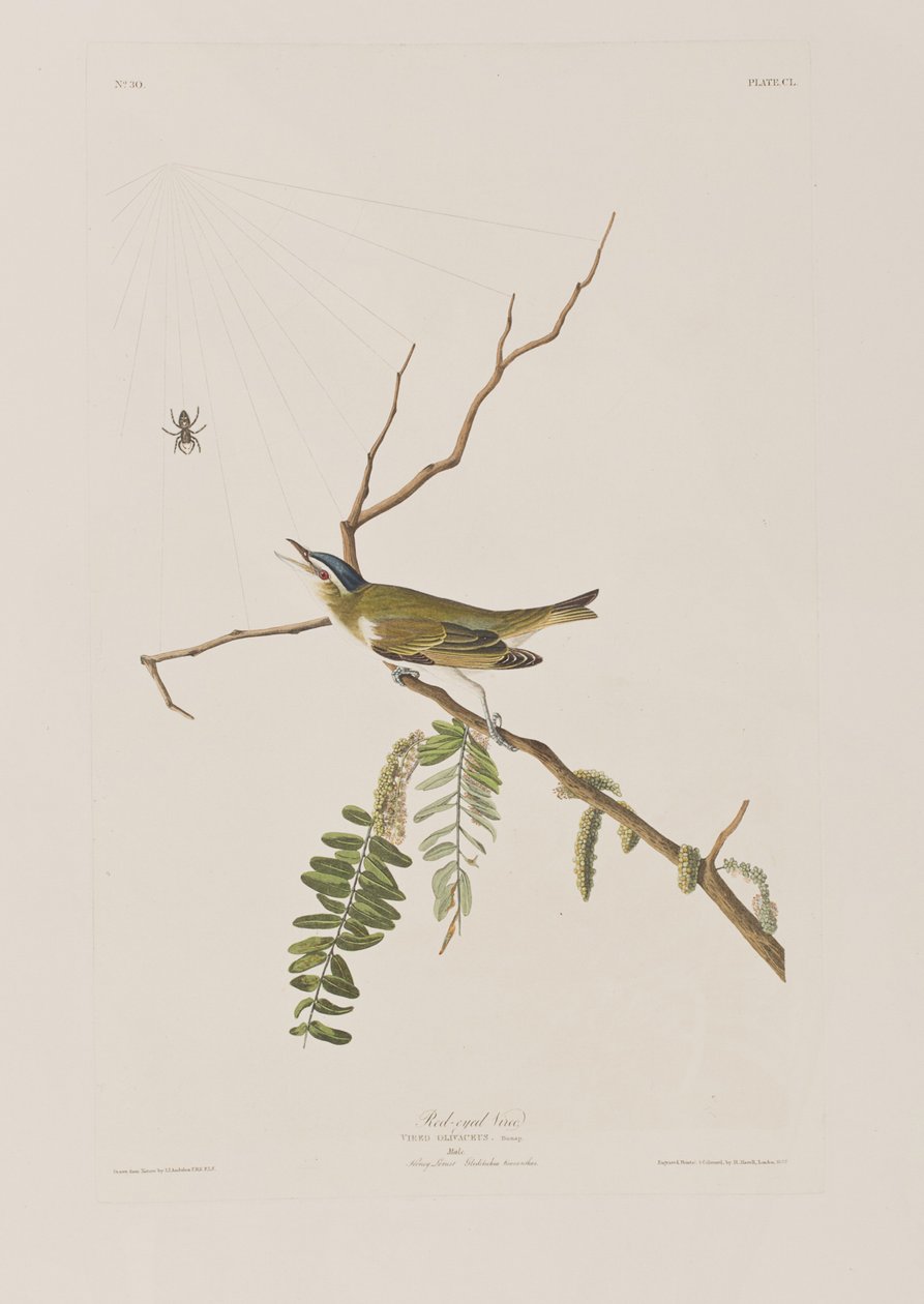 Illustration de 