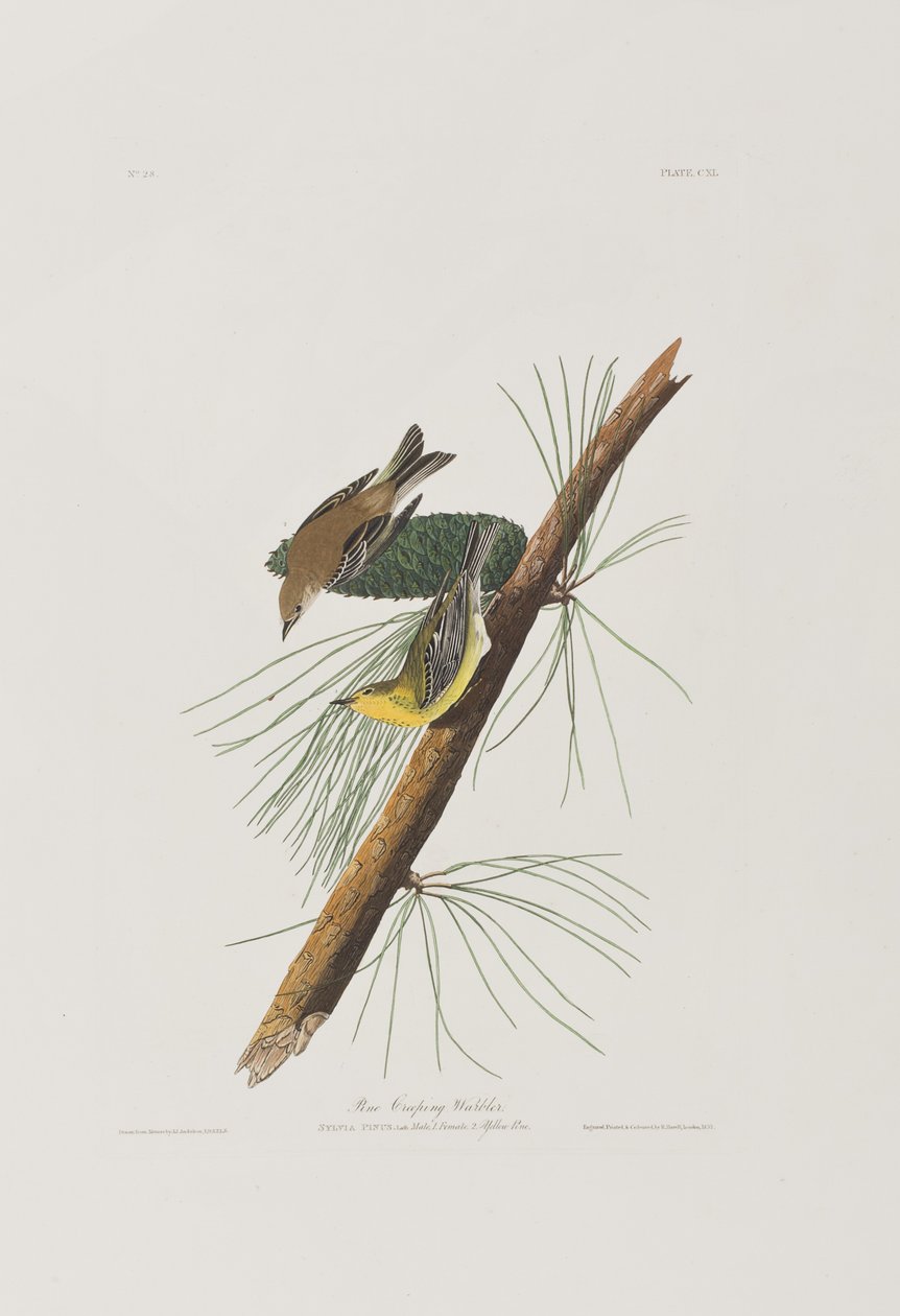 Illustration de 