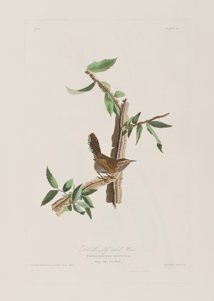 Illustration de 