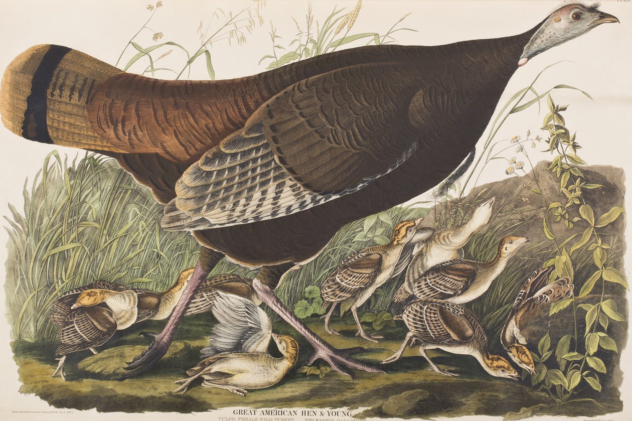 Illustration de 