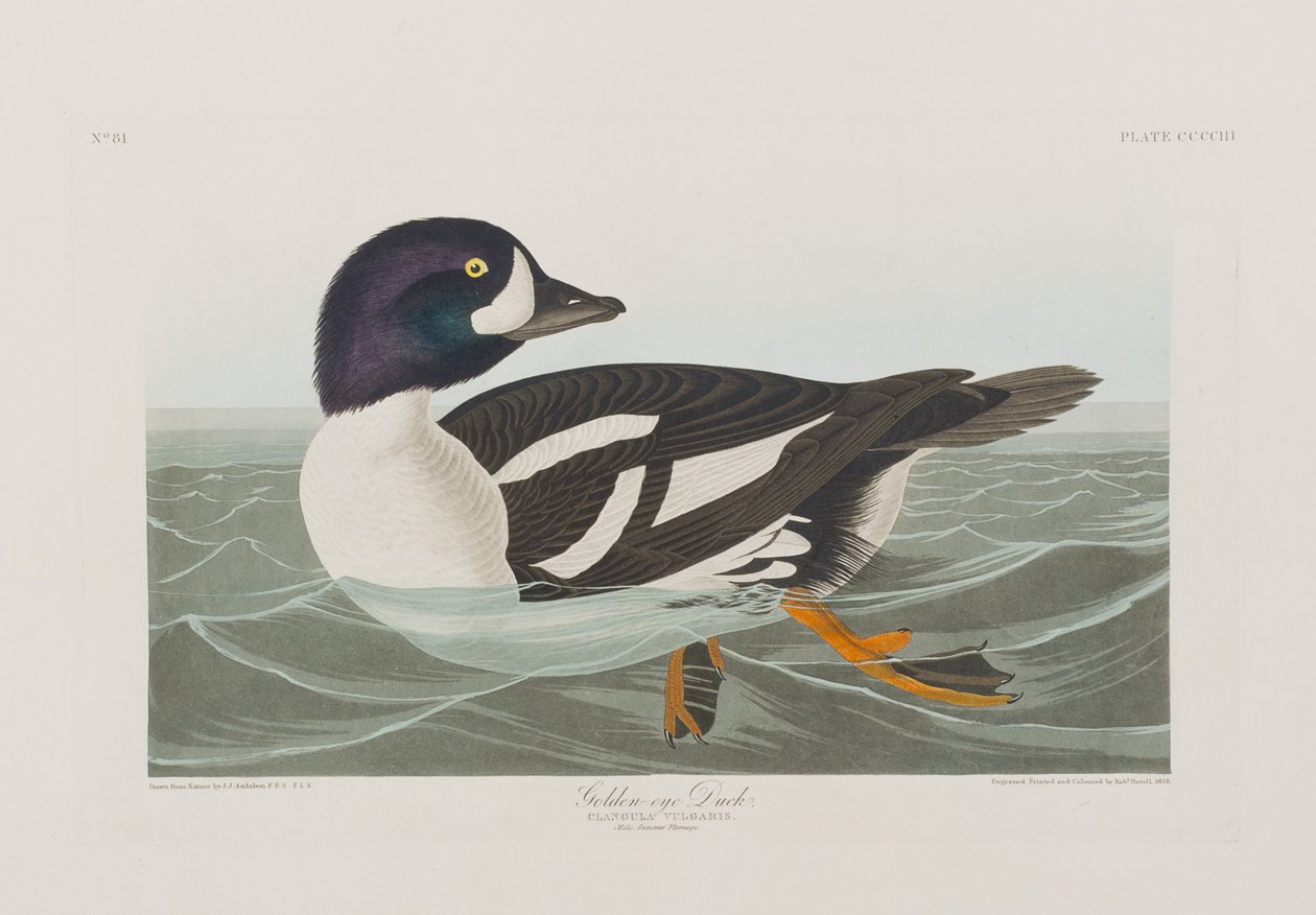 Illustration de 