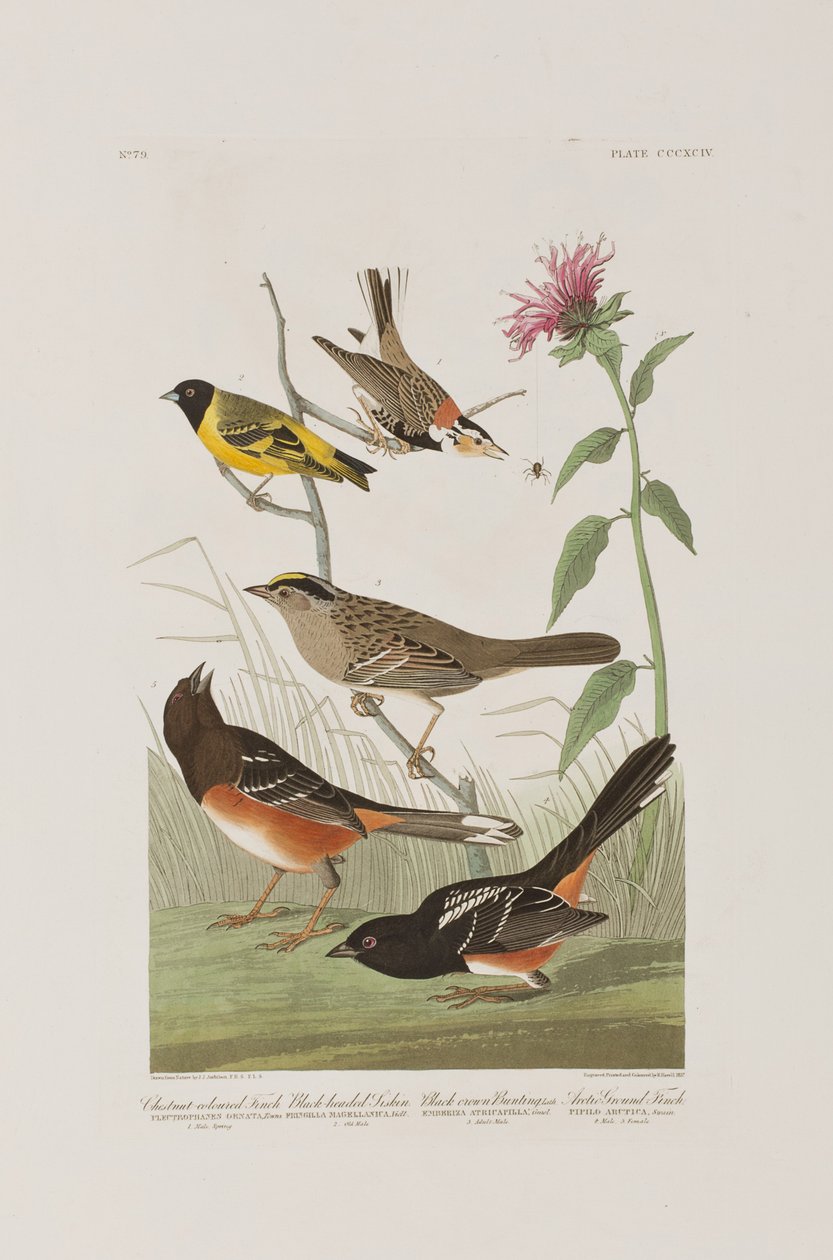 Illustration de 