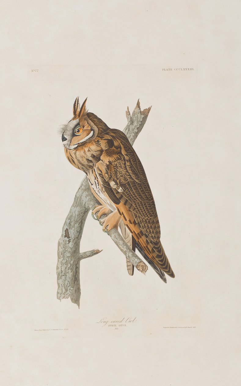 Illustration de 