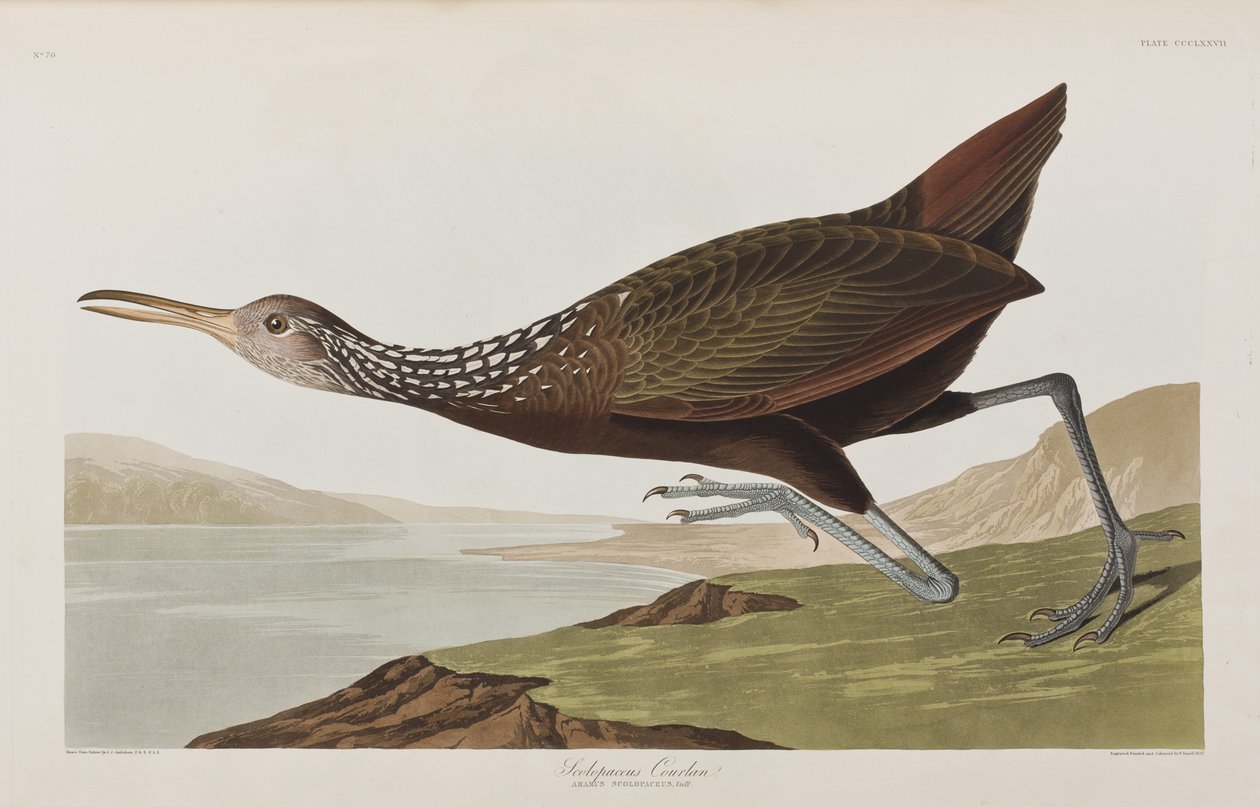 Illustration de 