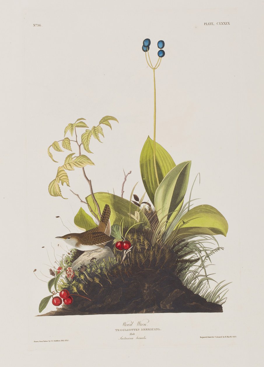 Illustration de 