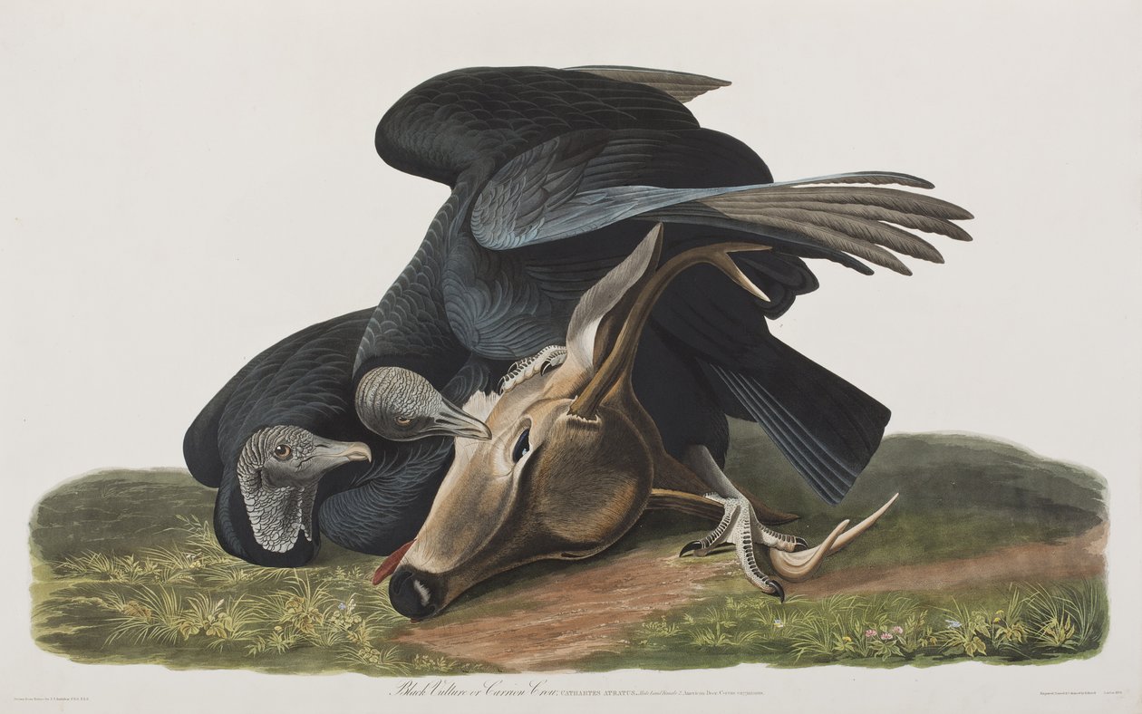 Illustration de 