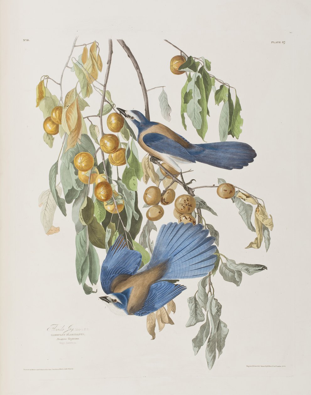 Illustration de 