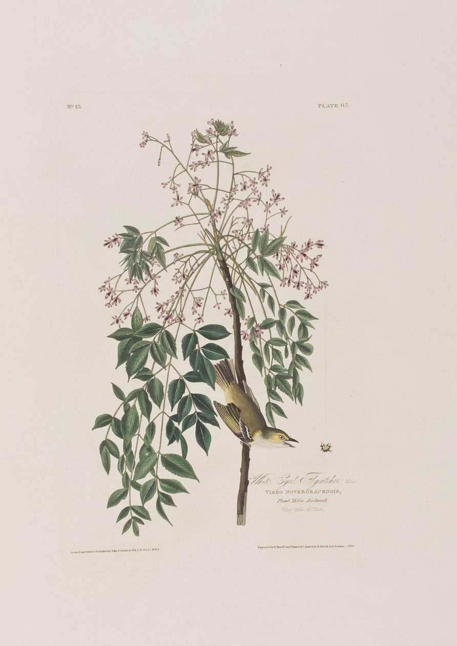 Illustration de 
