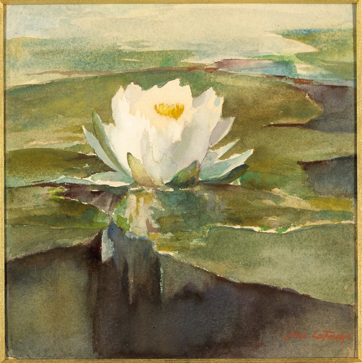 Nénuphar au soleil - John La Farge