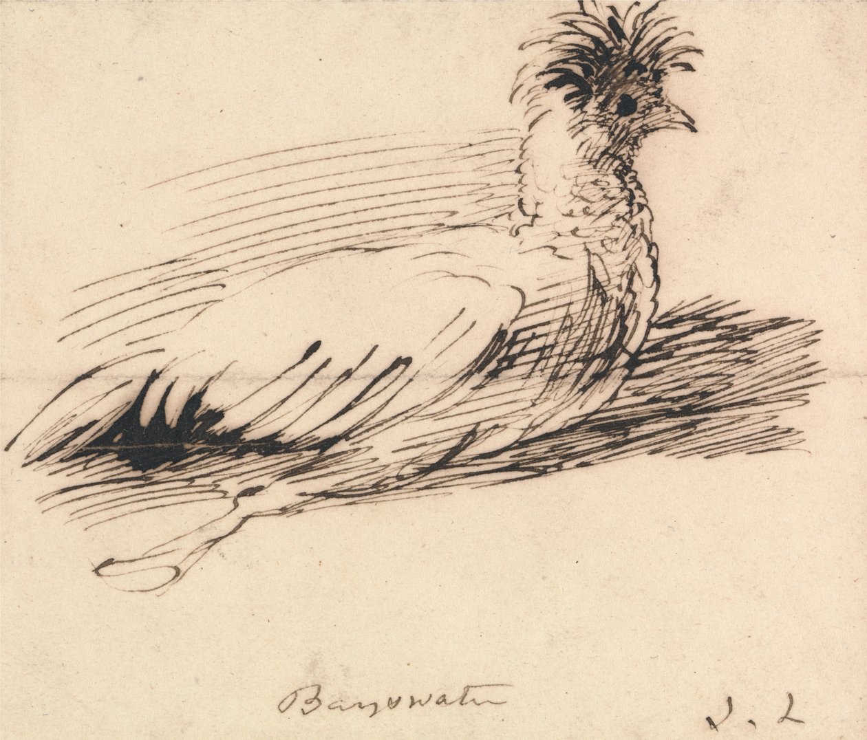 Une poule - John Linnell