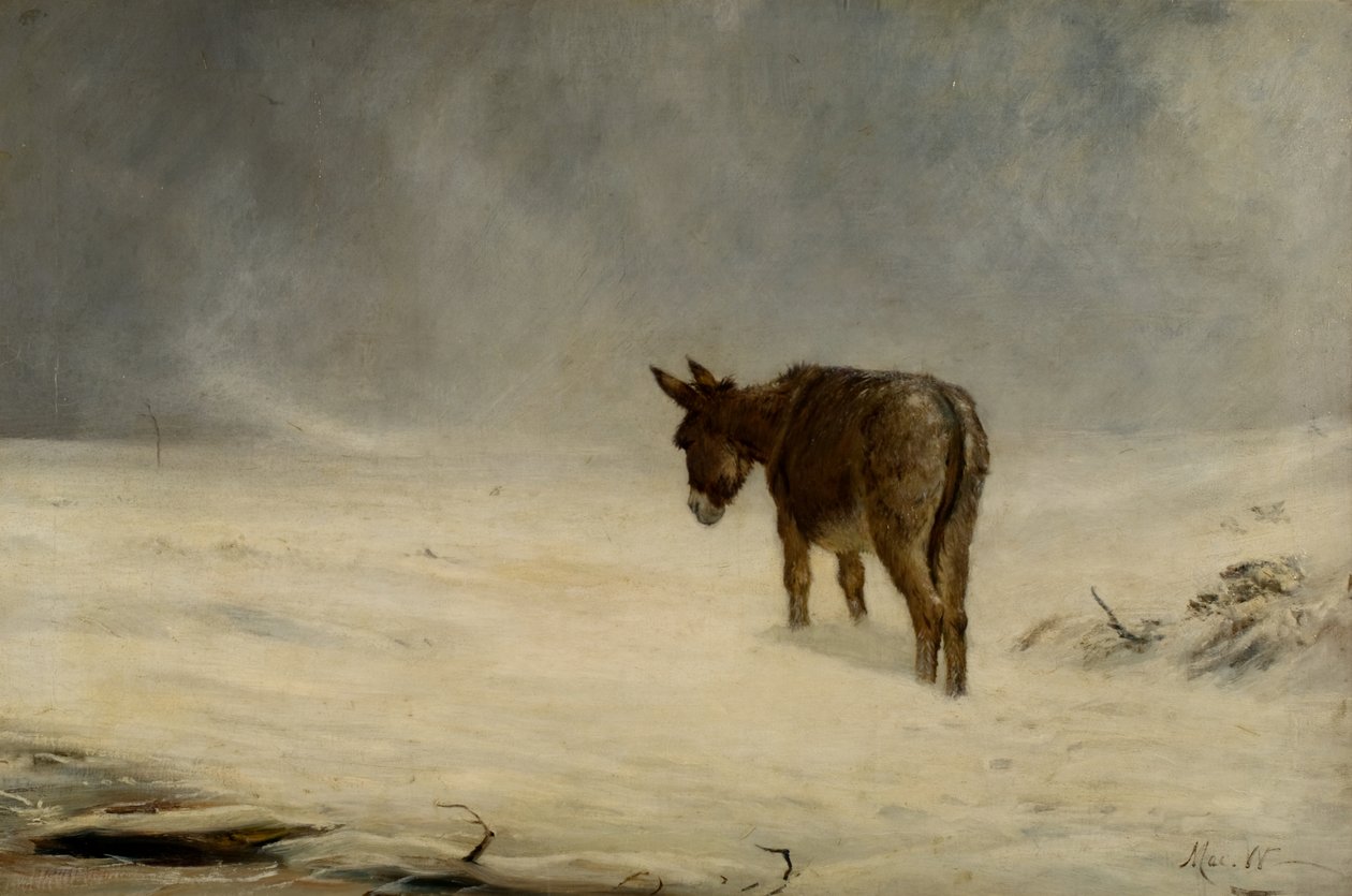 Un âne dans la neige - John MacWhirter