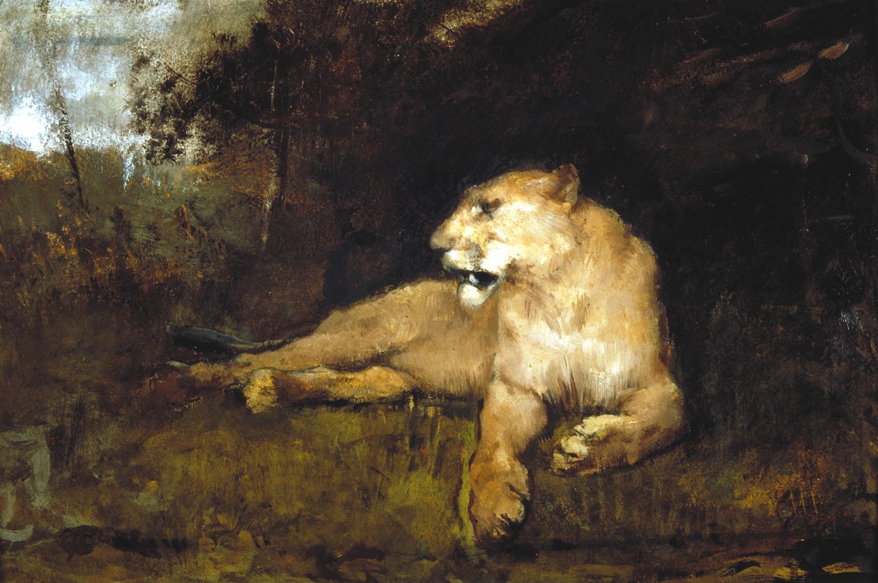 Une lionne - John Macallan Swan