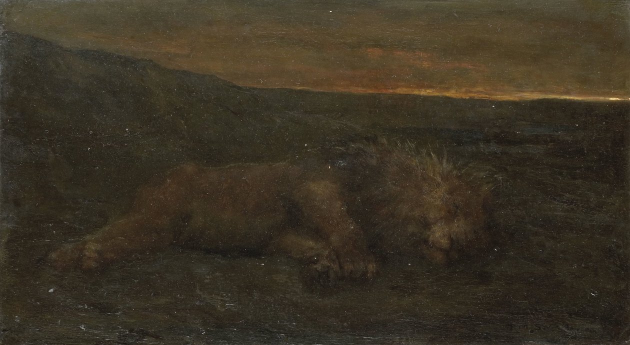 Lion dormant la nuit - John Macallan Swan