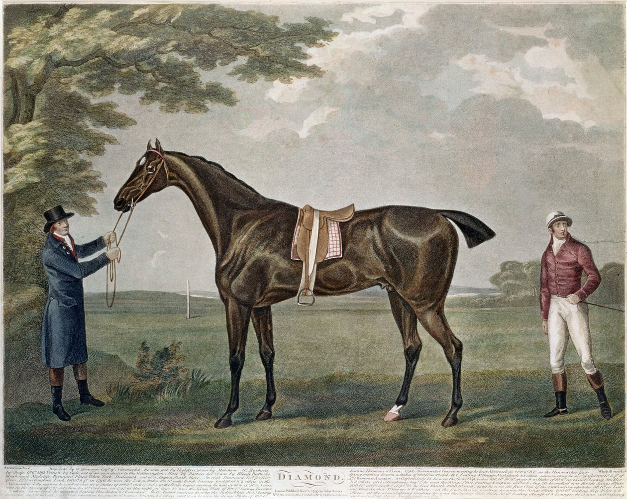 Le cheval de course Diamond, vers 1799 - John Nott Sartorius