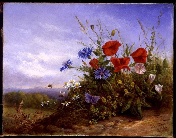 Fleurs sauvages sur une berge - John Rees