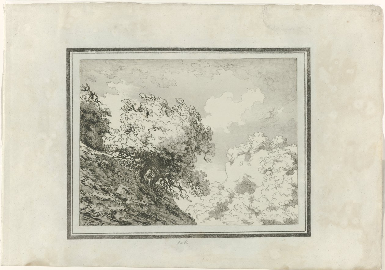 Chêne - John Robert Cozens
