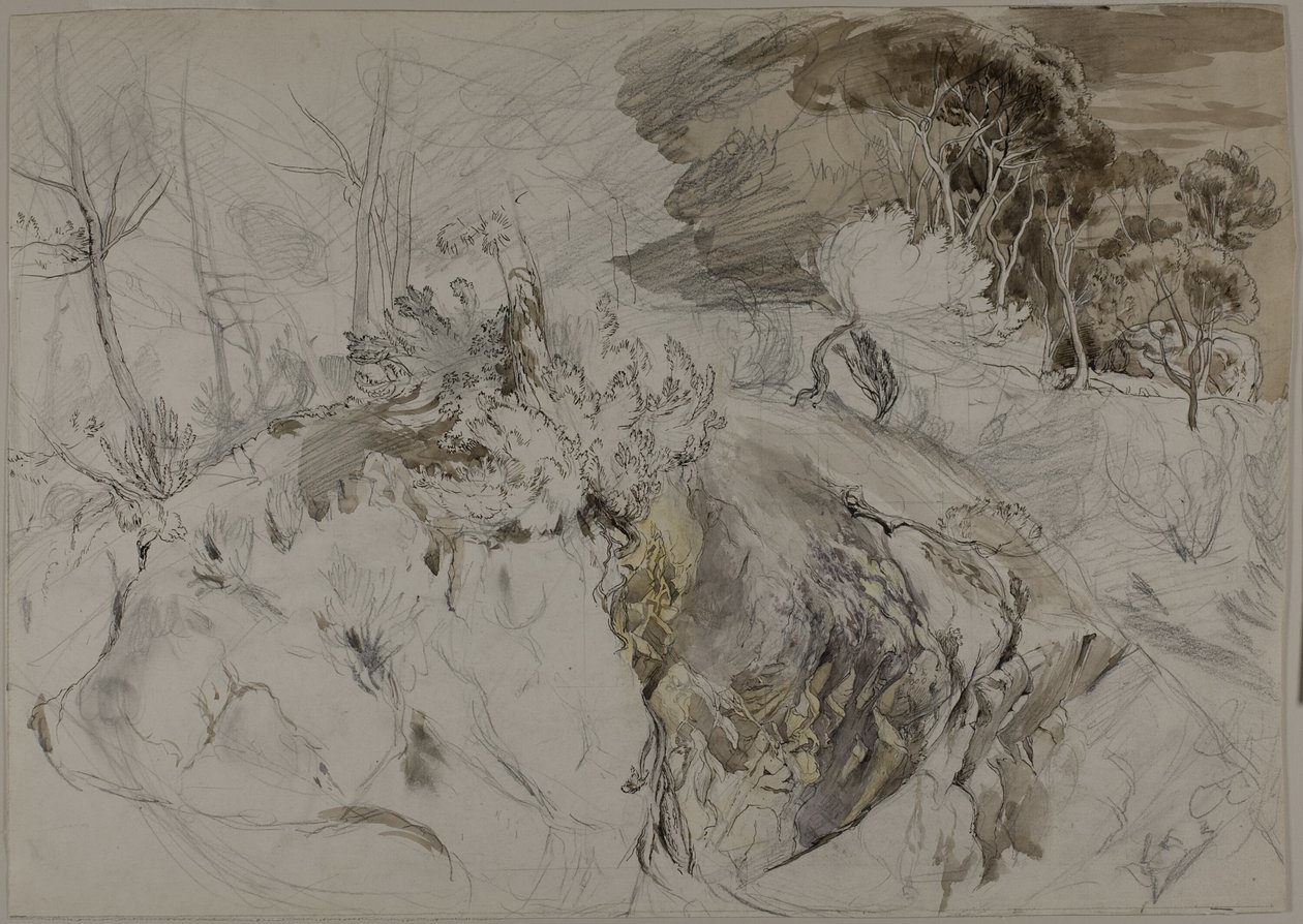 Arbustes et arbres dans un paysage rocheux - John Ruskin